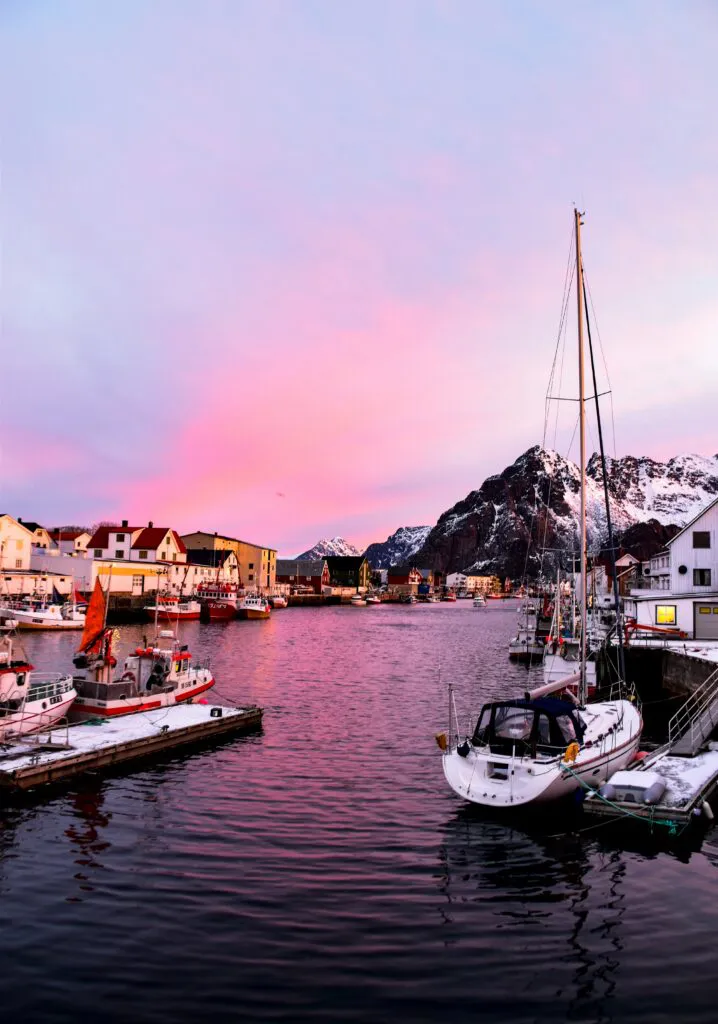 Mylena Gros - Wild seasons