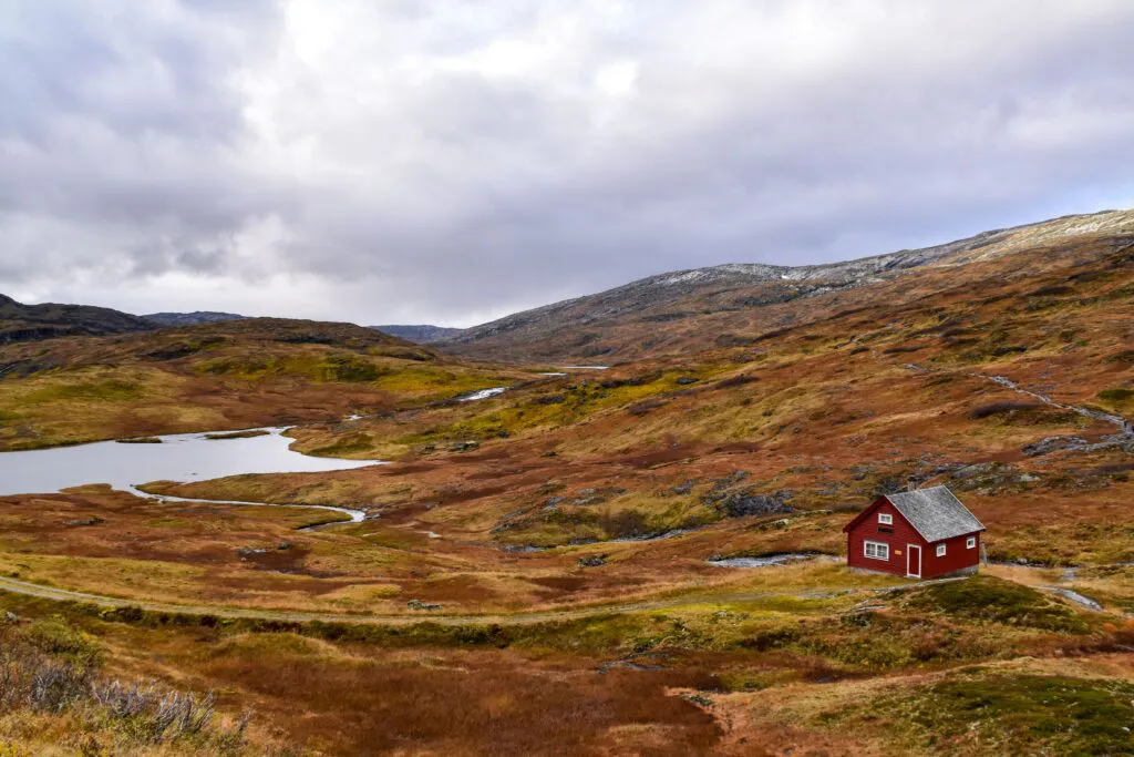Mylena Gros - Into the wild