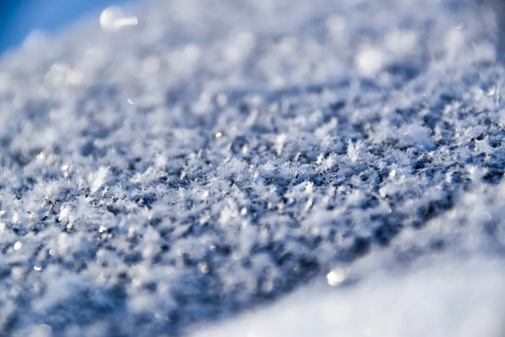 Mylena Gros - Unusual eyes