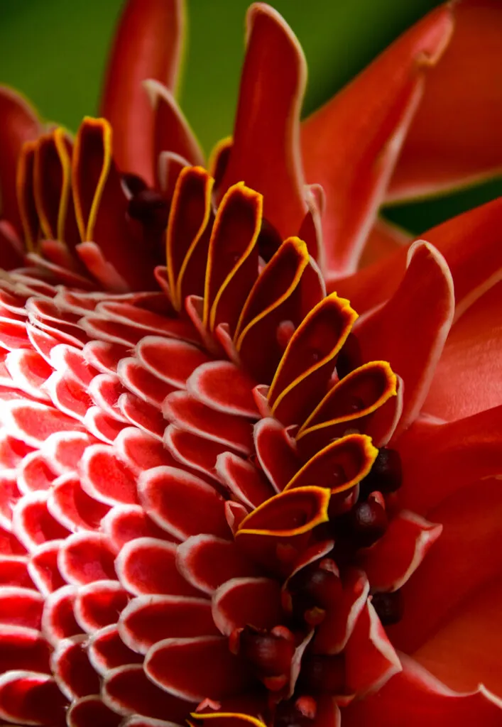 Mylena Gros - Sense for detail