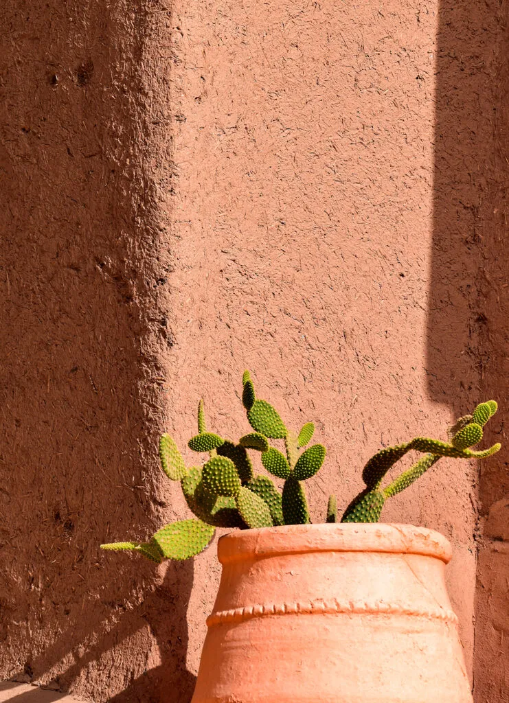 Mylena Gros - Product range