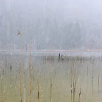 Mylena Gros - ÉTIVAL (FRANCE) - 2024