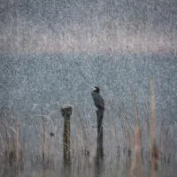 Mylena Gros - ÉTIVAL (FRANCE) - 2024