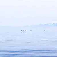 Mylena Gros - ANDØYA (NORVÈGE) - 2023