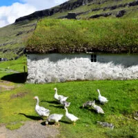 Mylena Gros - STREYMOY (ILES FÉROÉ) - 2024