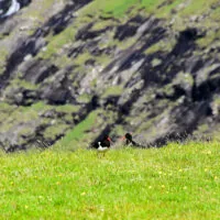 Mylena Gros - STREYMOY (ILES FÉROÉ) - 2024