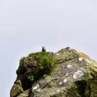 Mylena Gros - MYKINES (ILES FÉROÉ) - 2024