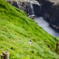 Mylena Gros - MYKINES (ILES FÉROÉ) - 2024