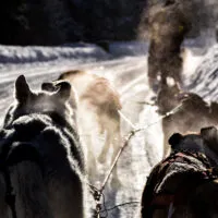 Mylena Gros - KIRUNA (SUÈDE) - 2017