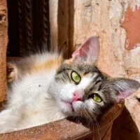 Mylena Gros - MARRAKECH (MAROC) - 2022