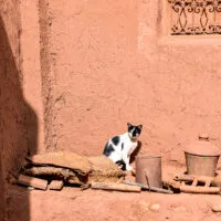 Mylena Gros - AÏT BEN HADDOU (MAROC) - 2022