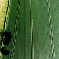 Mylena Gros - PAISIA (FRANCE) - 2022