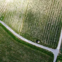 Mylena Gros - VOITEUR (FRANCE) - 2022