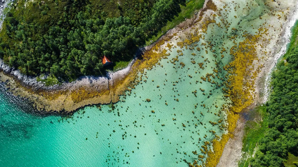 Mylena Gros - From the above